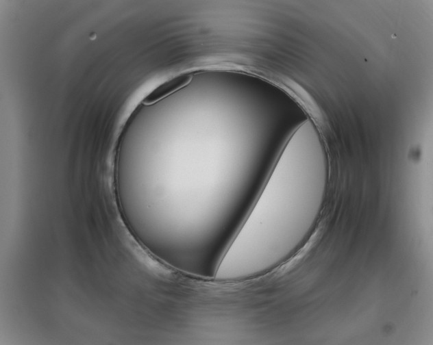 X0000096941196200802080851