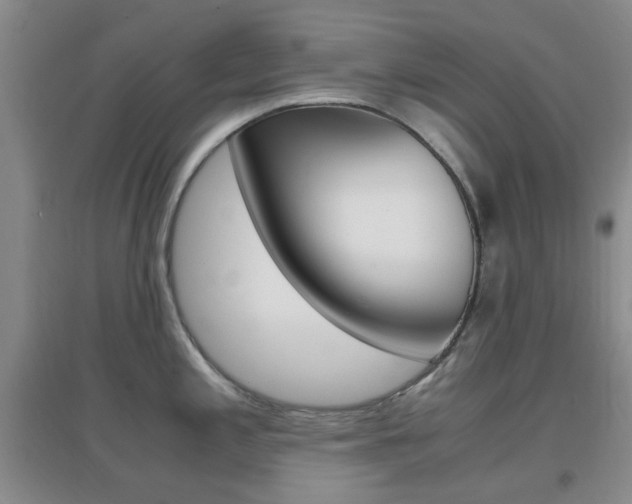 X0000096941197200802080851