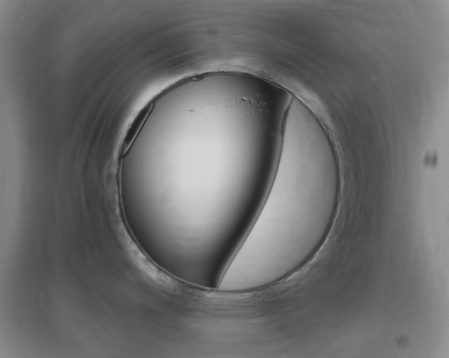 X0000096941200200802080851