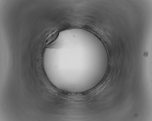 X0000096941201200802080851