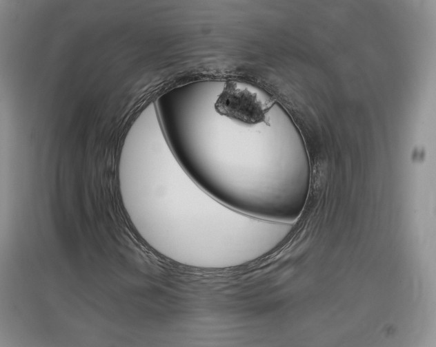 X0000096941202200802080851