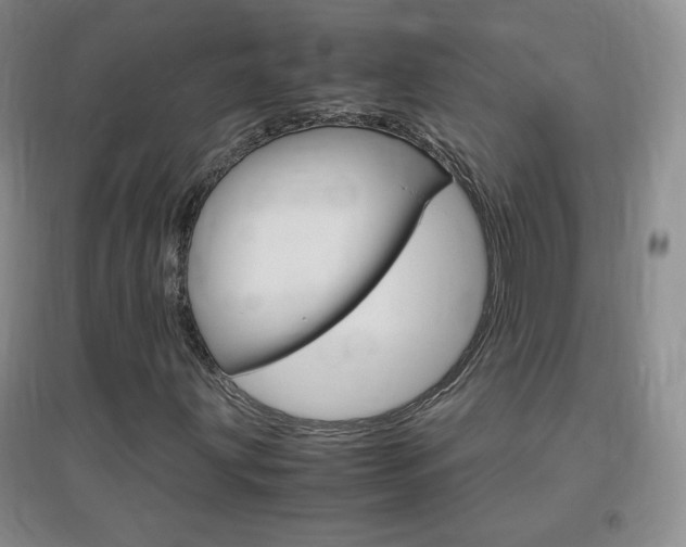 X0000096941203200802080851