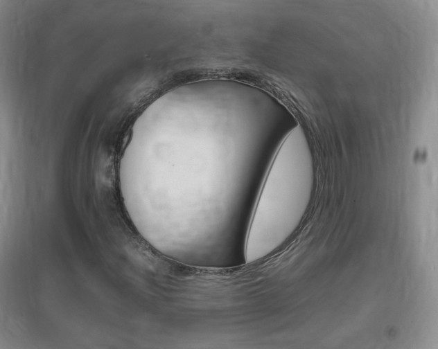 X0000096941204200802080851