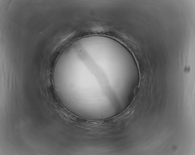 X0000096941205200802080851