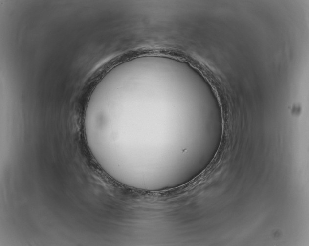X0000096941206200802080851