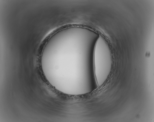 X0000096941208200802080851