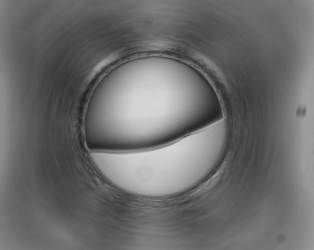 X0000096941210200802080851
