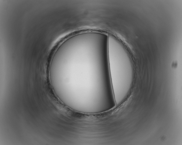 X0000096941214200802080851