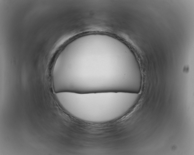 X0000096941215200802080851