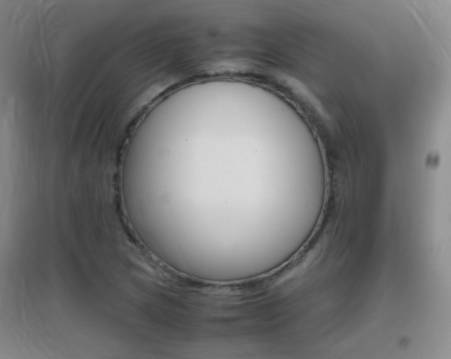 X0000096941217200802080851