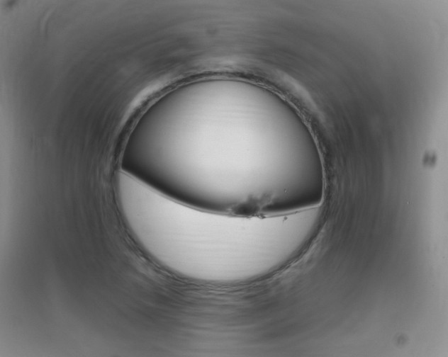 X0000096941218200802080851