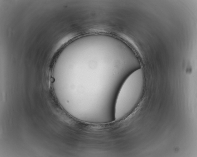X0000096941219200802080851