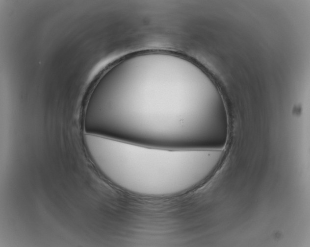 X0000096941222200802080851