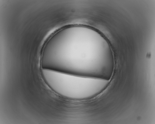 X0000096941224200802080851