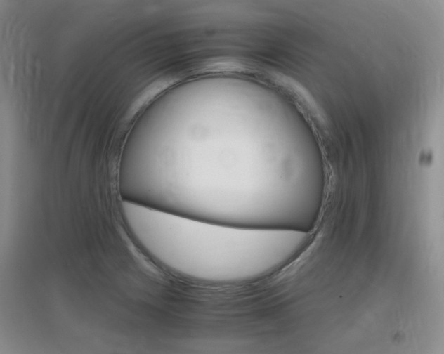 X0000096941225200802080851