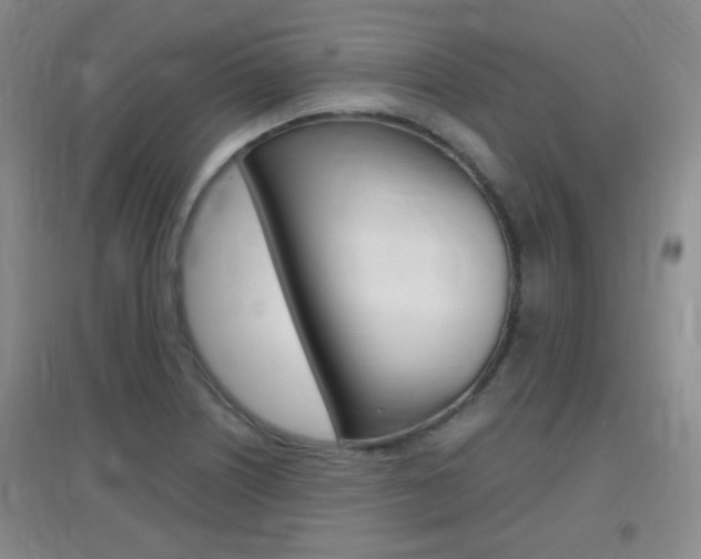 X0000096941226200802080851