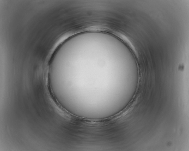 X0000096941227200802080851