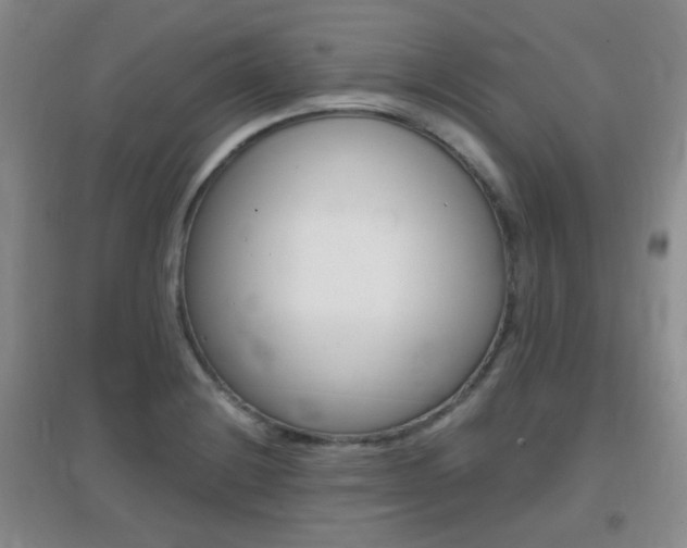 X0000096941228200802080851