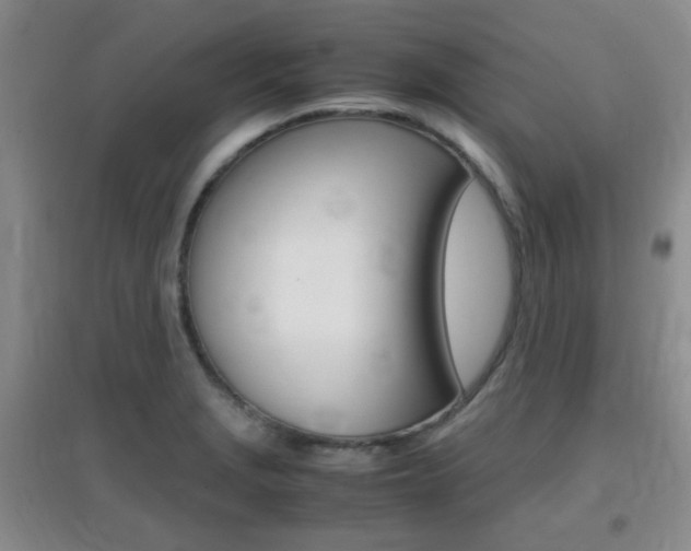 X0000096941229200802080851