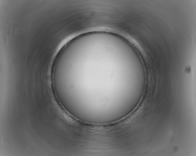 X0000096941230200802080851