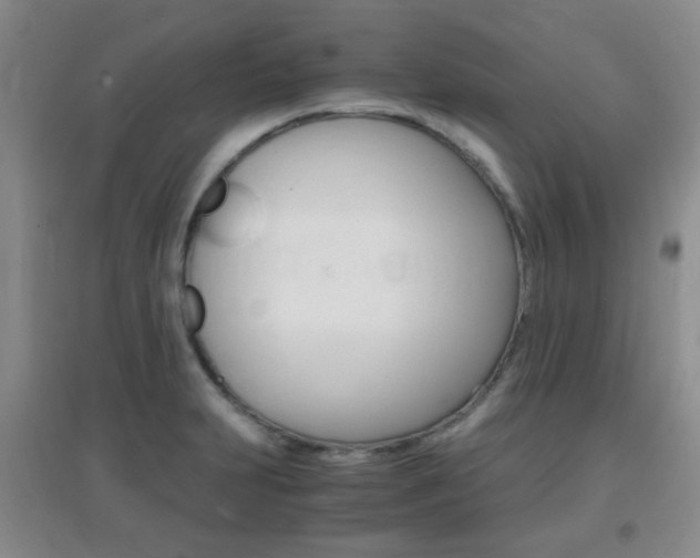 X0000096941231200802080851