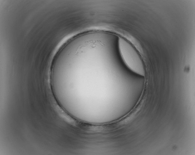 X0000096941232200802080851