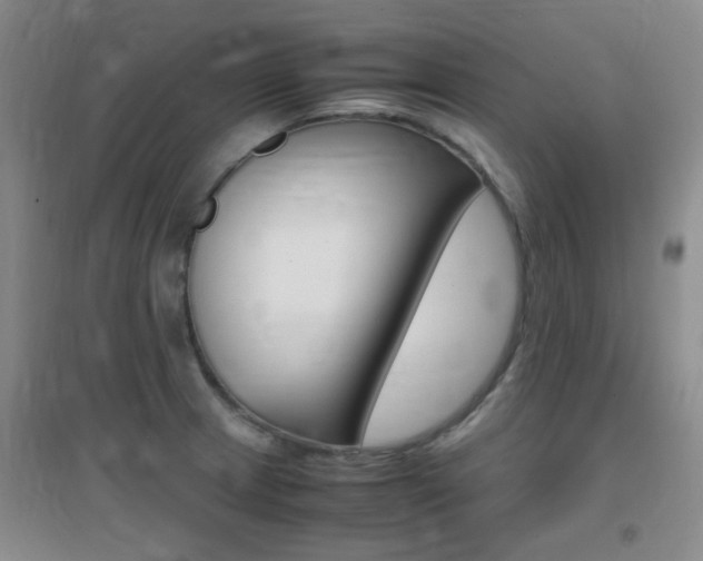 X0000096941233200802080851