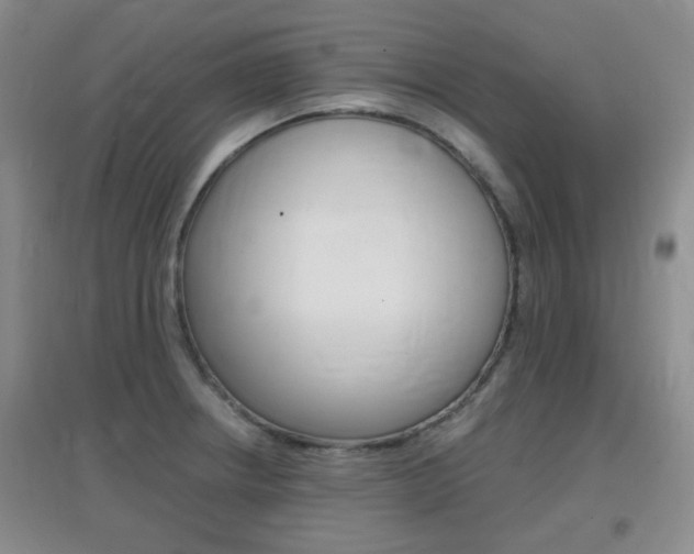 X0000096941234200802080851