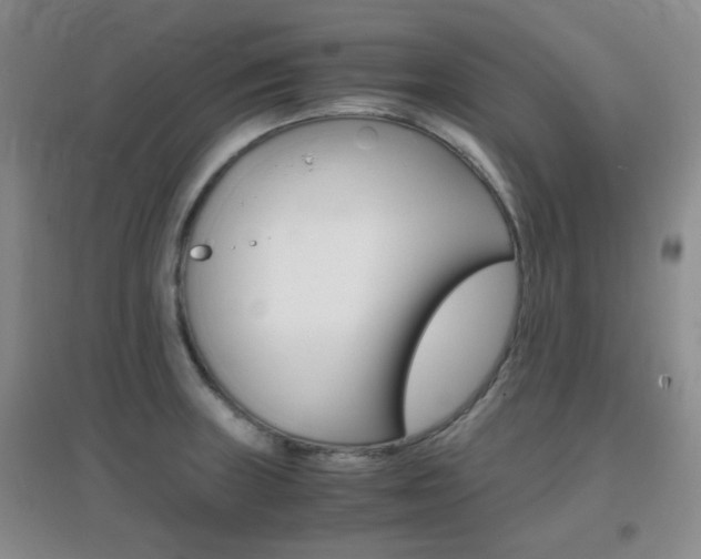 X0000096941235200802080851