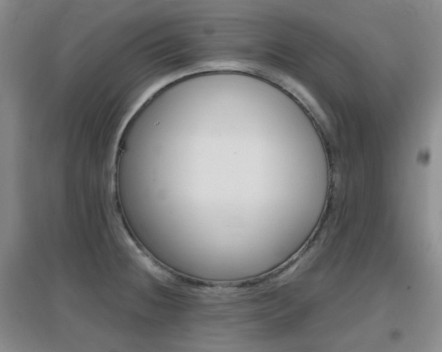 X0000096941236200802080851
