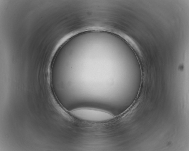 X0000096941238200802080851