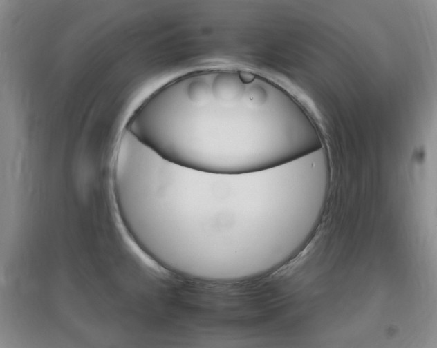 X0000096941239200802080851