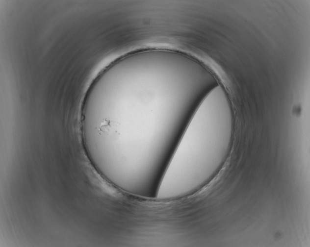 X0000096941240200802080851