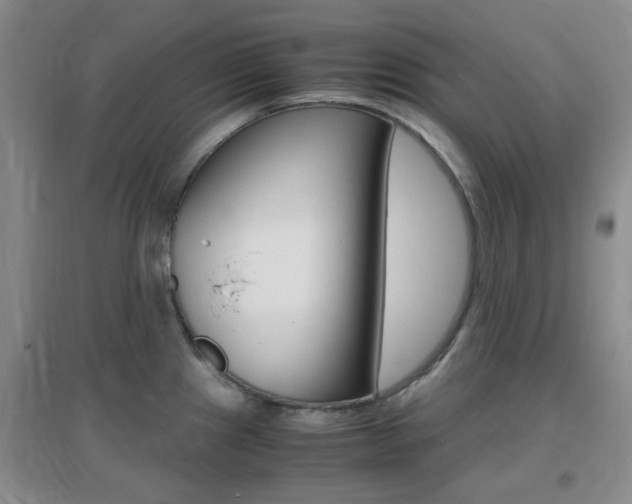 X0000096941241200802080851