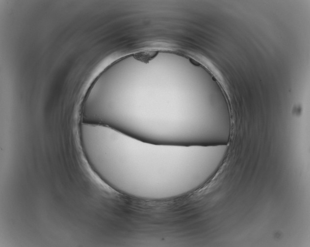 X0000096941243200802080851