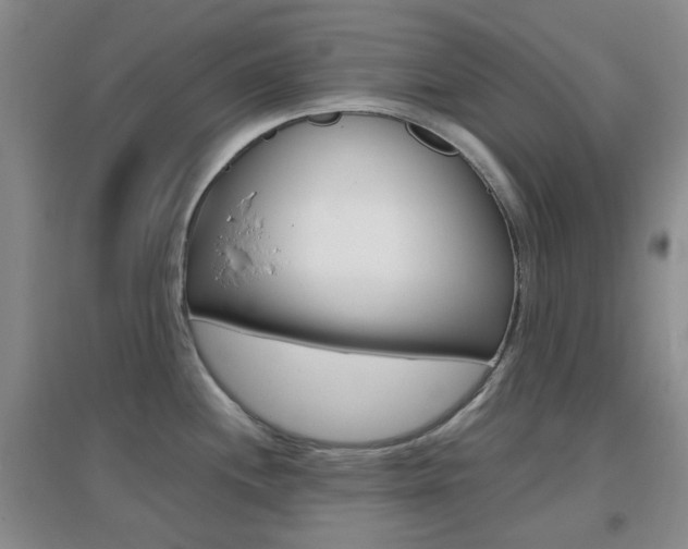 X0000096941244200802080851