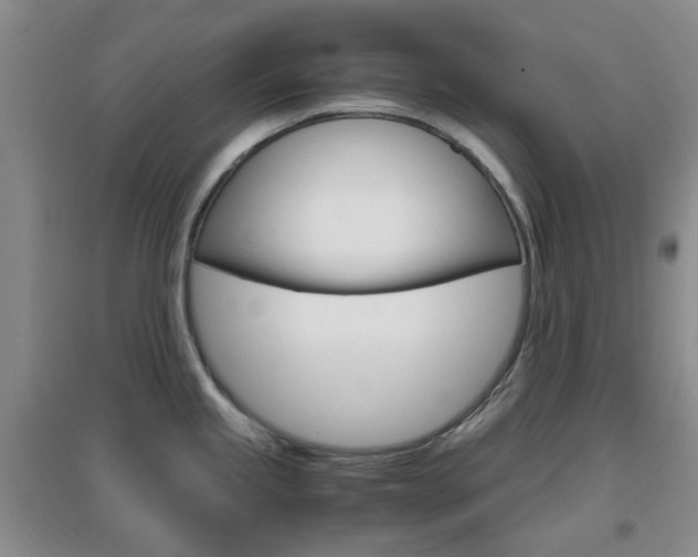 X0000096941245200802080851