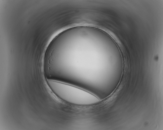 X0000096941246200802080851