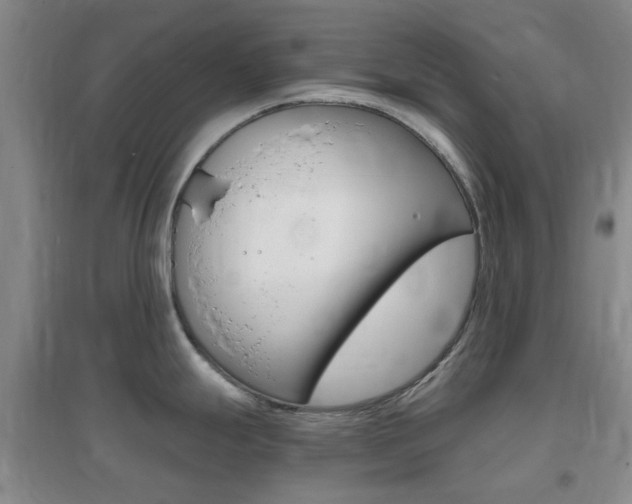 X0000096941247200802080851