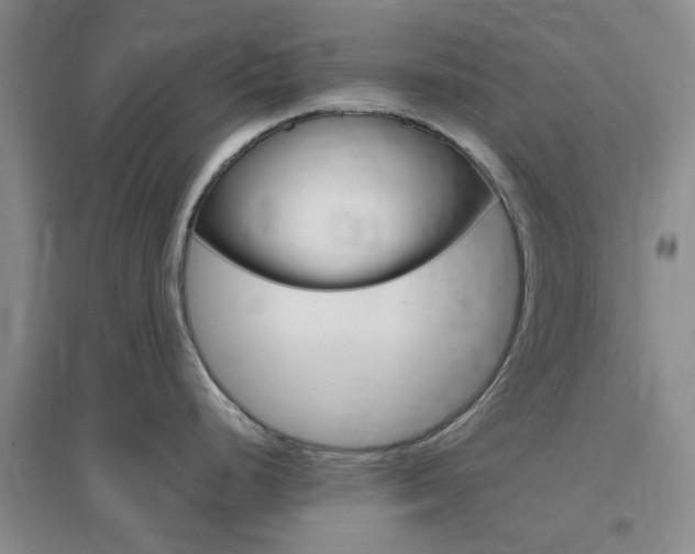 X0000096941248200802080851