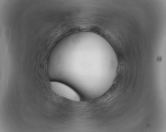X0000096941249200802080851