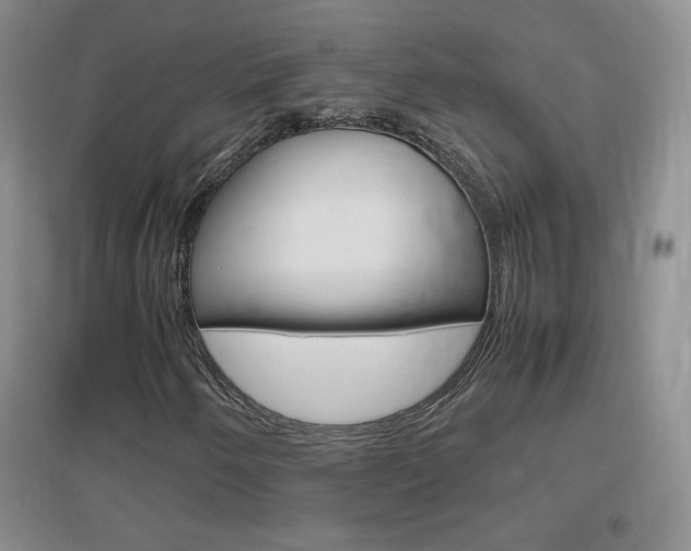 X0000096941250200802080851