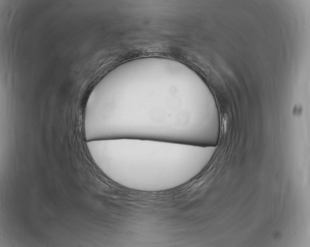 X0000096941251200802080851