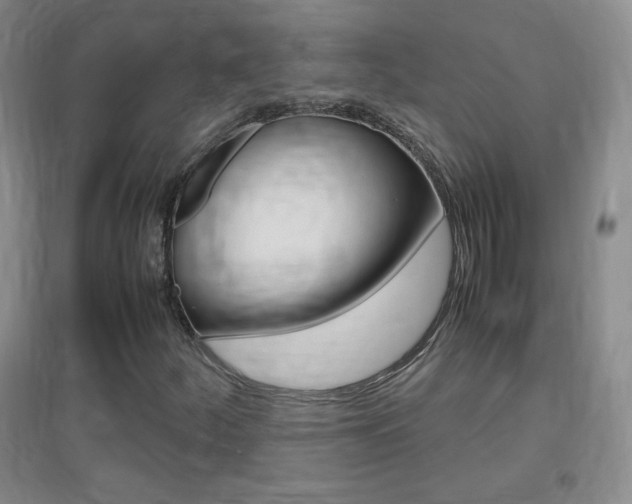 X0000096941252200802080851