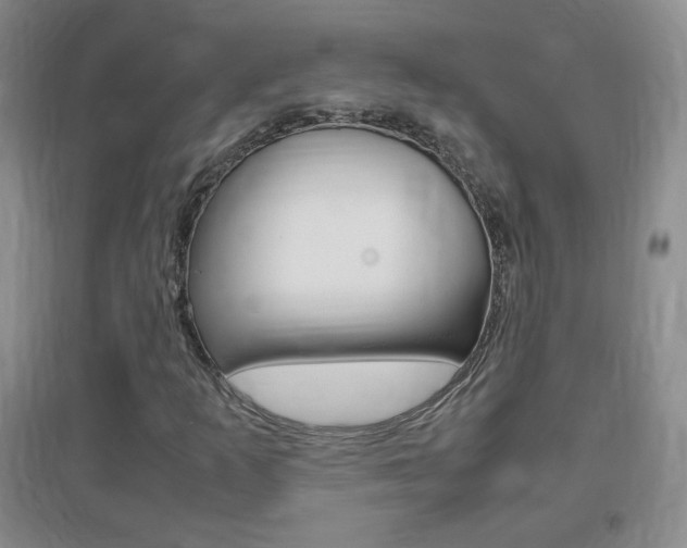 X0000096941253200802080851