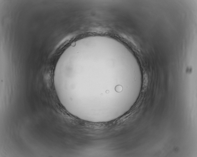 X0000096941254200802080851