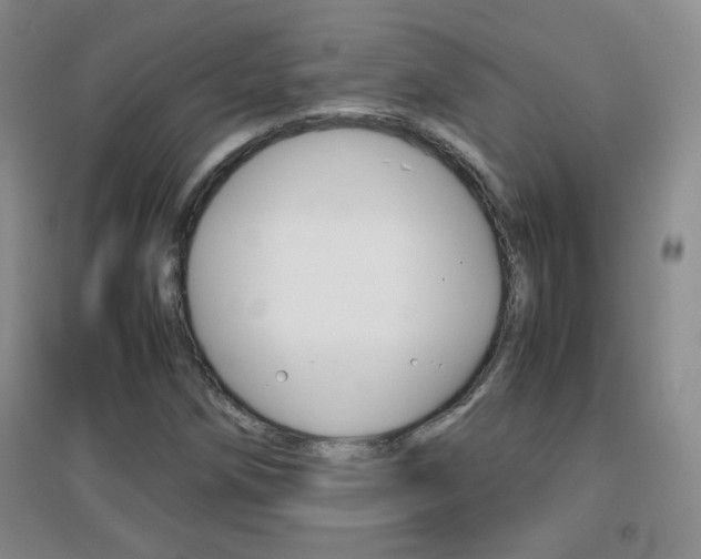 X0000096941258200802080851