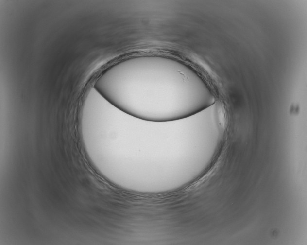X0000096941259200802080851