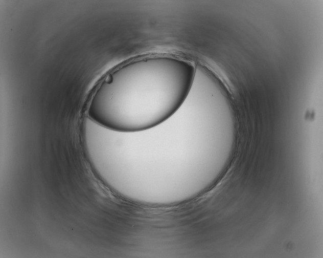 X0000096941260200802080851