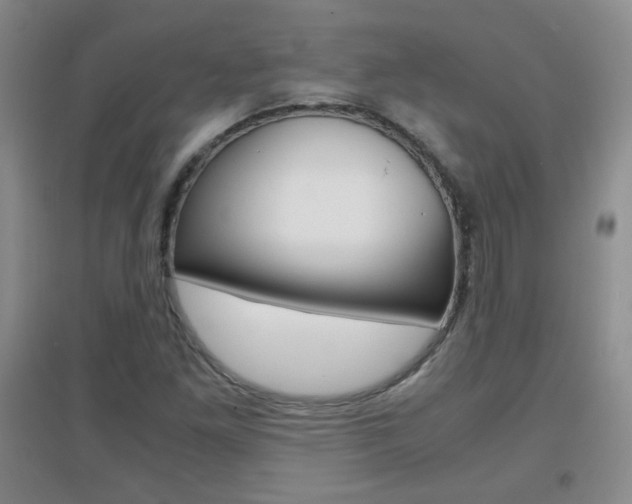 X0000096941261200802080851